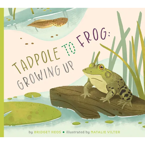 Tadpole to Frog: Growing Up