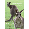 Glass Kangaroo