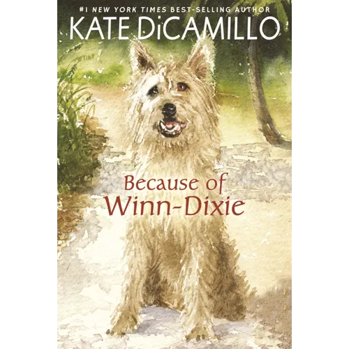 Because of Winn-Dixie