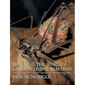 Breeding the World's Largest Living Arachnid: Amblypygid (Whipspider) Biology, Natural History, and Captive Husbandry