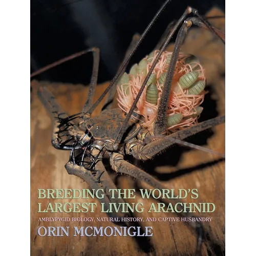 Breeding the World's Largest Living Arachnid: Amblypygid (Whipspider) Biology, Natural History, and Captive Husbandry