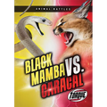Black Mamba vs. Caracal