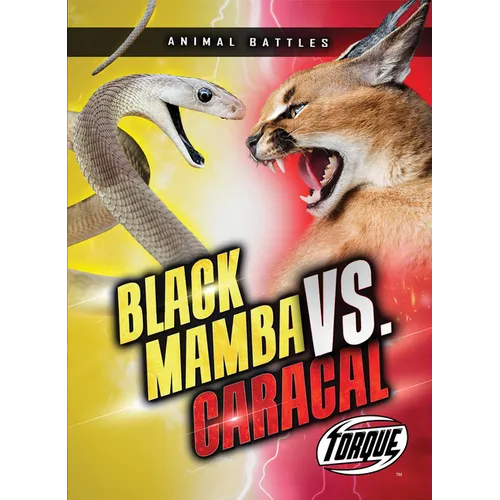 Black Mamba vs. Caracal