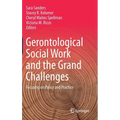Gerontological Social Work and the Grand Challenges: Focusing on Policy and Practice