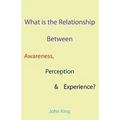 What is the Relationship Between Awareness, Perception & Experience?