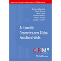 Arithmetic Geometry Over Global Function Fields