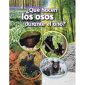 ¿Qué Hacen Los Osos Durante El Año?