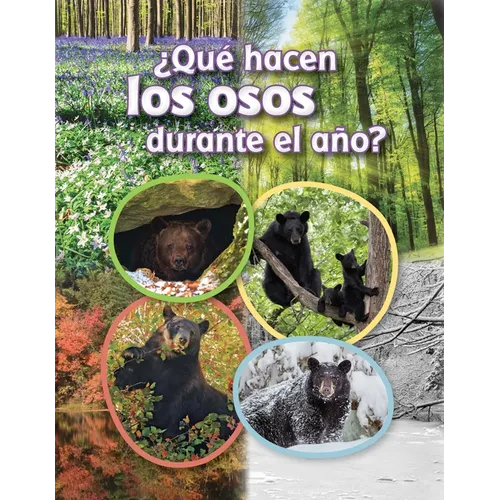 ¿Qué Hacen Los Osos Durante El Año?