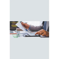 Casino Revenue Auditing
