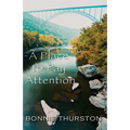A Place to Pay Attention
