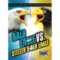 Bald Eagle vs. Steller's Sea Eagle
