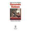 Gesunde Katzen: Schmusen Ohne Gefahr