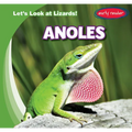 Anoles