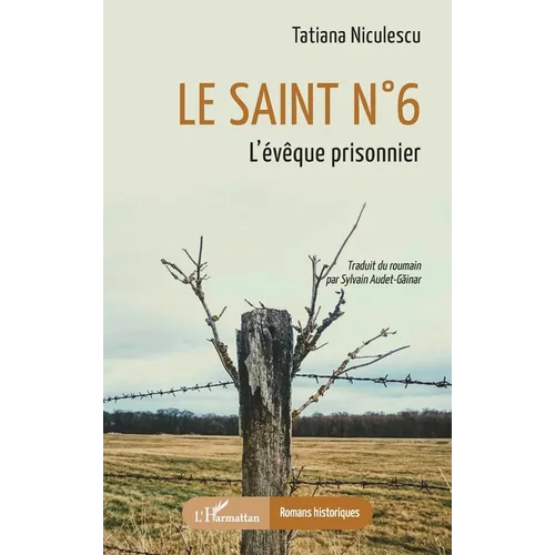 Le saint n° 6: L'évêque prisonnier