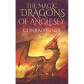 The Magic Dragons of Anglesey: The Rock Goblins