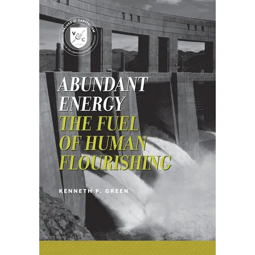 Abundant Energy: The Fuel of Human Flourishing