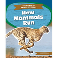 How Mammals Run