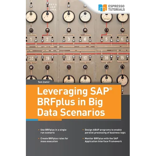 Leveraging SAP BRFplus in Big Data Scenarios