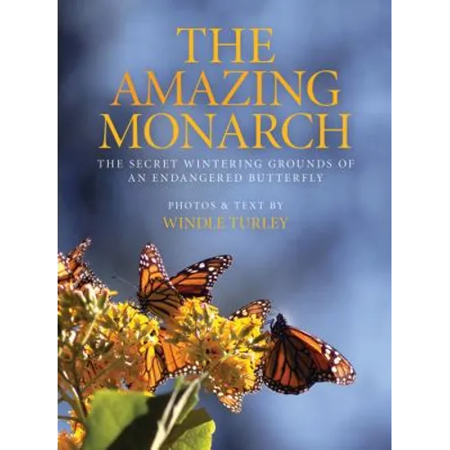 Amazing Monarch: The Secret Wintering Grounds of an Endangered Butterfly