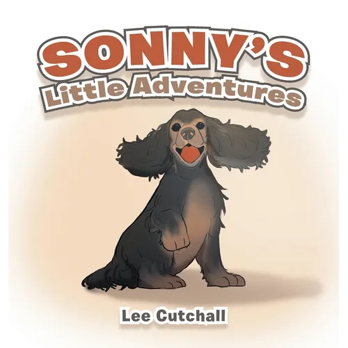 Sonny's Little Adventures