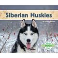 Siberian Huskies