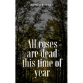 All roses are dead this time of year