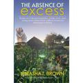 The Absence of Excess: Stories on Cultural Immersion, Godly Love, and Living Surrendered from a Black American Missionary in Africa