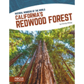 California's Redwood Forest