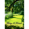 Mercy Is Forever
