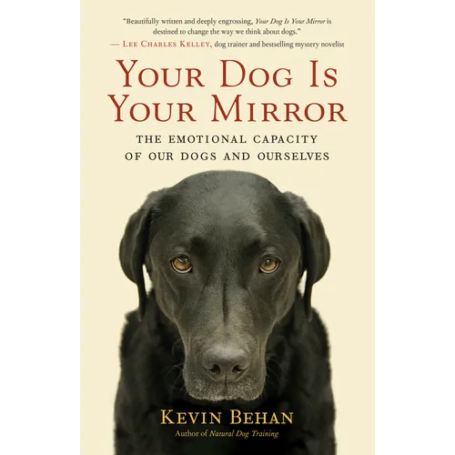 Your Dog Is Your Mirror: The Emotional Capacity of Our Dogs and Ourselves
