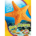 Sea Stars