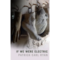If We Were Electric: Stories