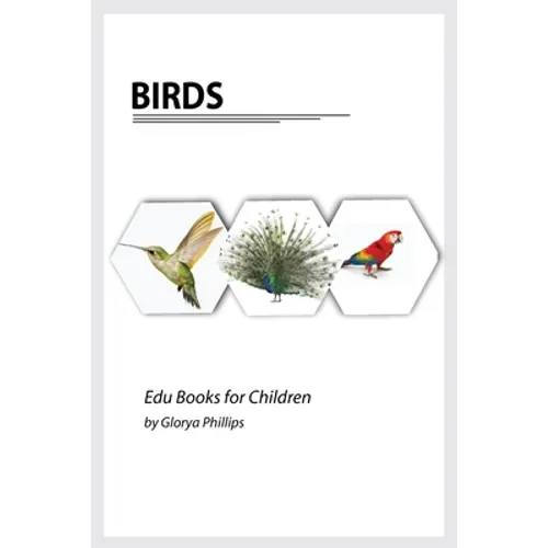 Birds: Montessori real birds book, bits of intelligence for baby and toddler, children's book, learning resources.