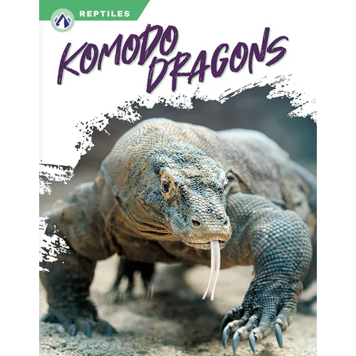 Komodo Dragons