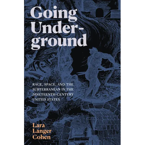 Going Underground: Race, Space, and the Subterranean in the Nineteenth-Century United States