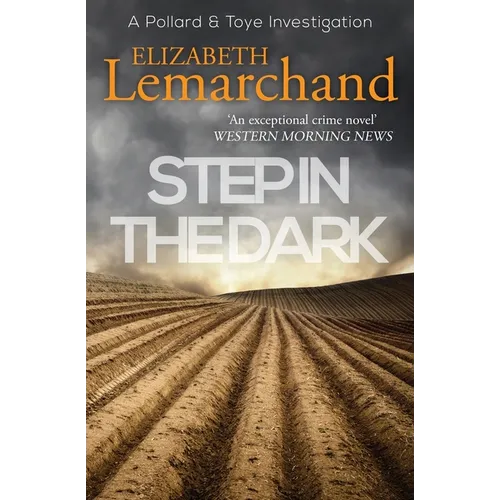 Step in the Dark