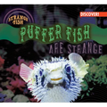 Puffer Fish Are Strange
