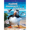 Marine Mammals & Seabirds