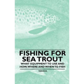 Fishing for Sea Trout - What Equipment to Use and How, Where and When to Fish