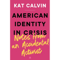 American Identity in Crisis: Notes from an Accidental Activist