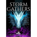 The Storm Gathers