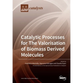 Catalytic Processes for The Valorisation of Biomass Derived Molecules