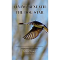 Flying Beneath the Dog Star: Poems from a Pandemic