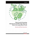 Plant Growth Promoting Rhizobacteria (PGPR): Bugs That Are Boon to the Agricultural World