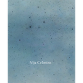 Vija Celmins