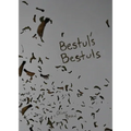 Bestul's Bestuls