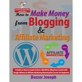 How to Make Money from Blogging & Affiliate Marketing: A Guide on How to Create & Grow a WordPress Blog from Scratch with Google AdSense & Affiliate M