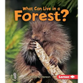 What Can Live in a Forest?