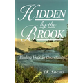Hidden by the Brook: Finding Hope in Uncertainty