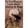 So You Want to Learn About Insects & Bugs